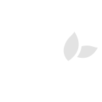 Seriti
