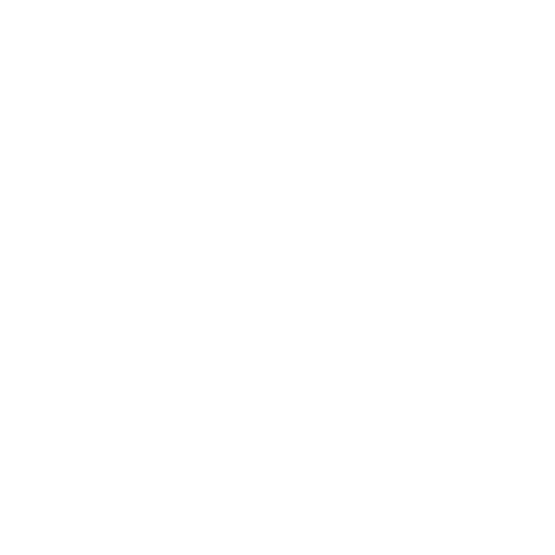 Festo logo
